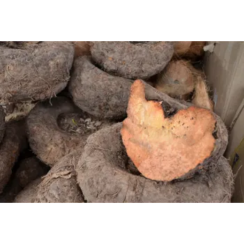 Natural Elephant Yam